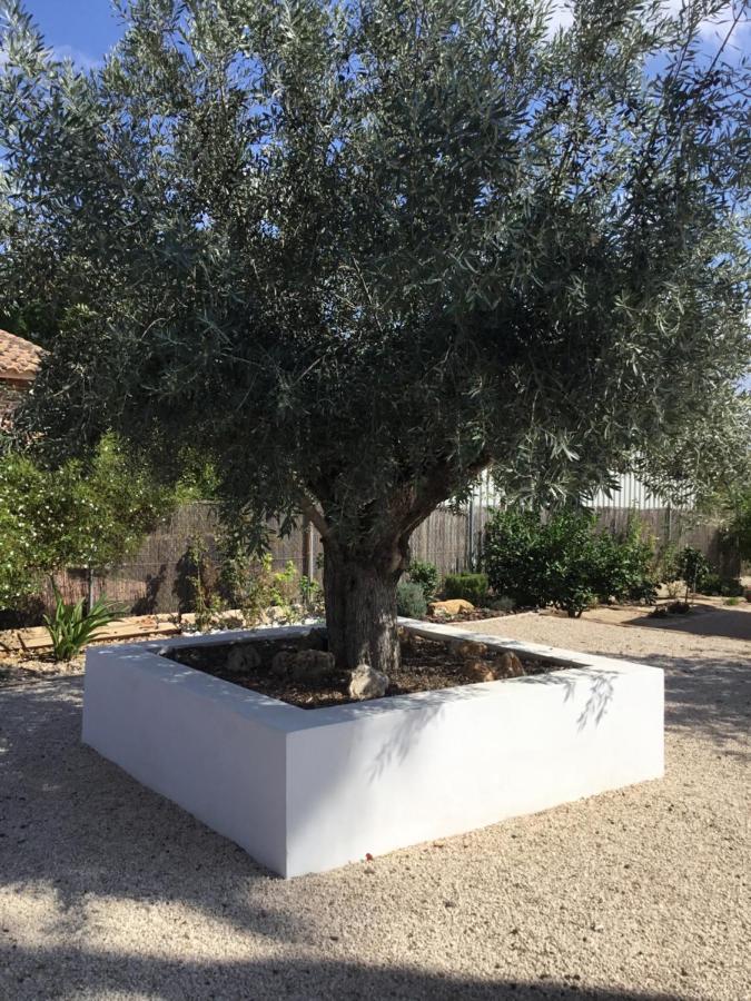 Relax En La Huerta De Murcia Eksteriør bilde